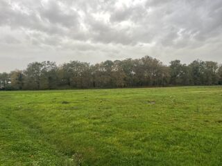  Terrain � vendre 1000 m�