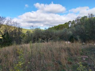  Terrain à vendre 1005 m²