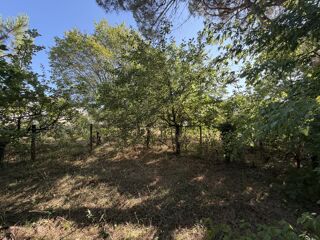  Terrain à vendre 550 m²