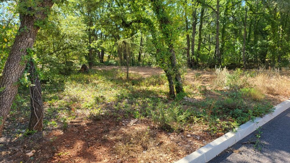 vente Terrain - 1060 m² Nans-les-Pins (83860)