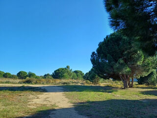 Terrain � vendre 446 m�