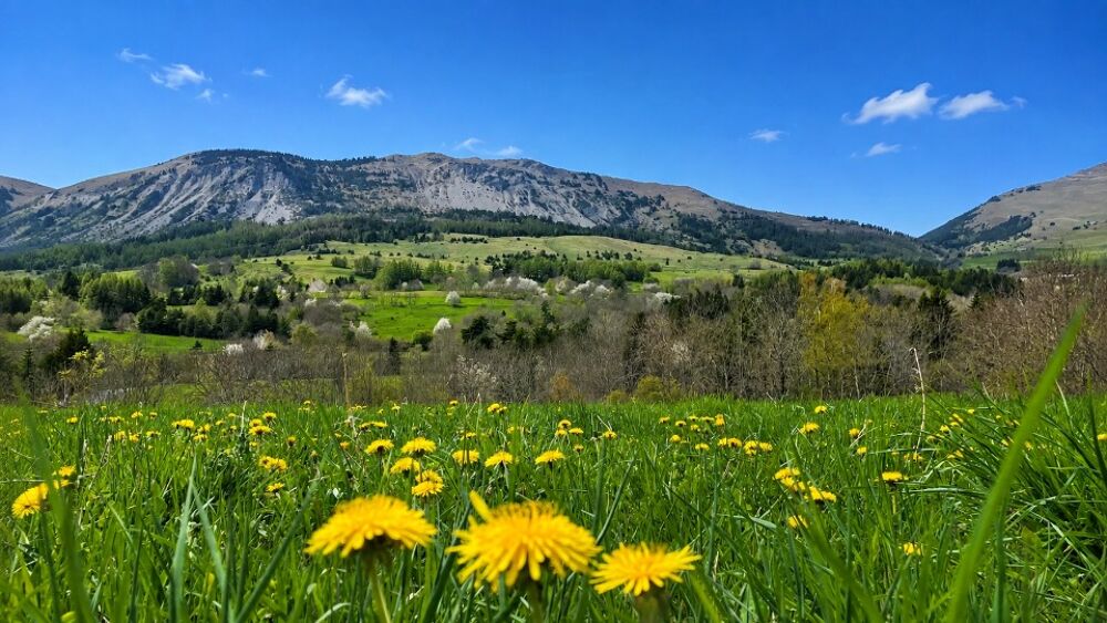 vente Terrain - 854 m² Gap (05000)