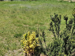  Terrain � vendre 1022 m�