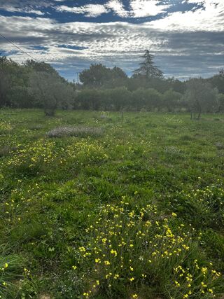  Terrain � vendre 720 m�