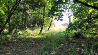  Terrain  vendre 603 m