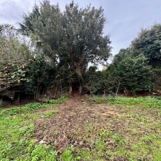  Terrain � vendre 500 m�