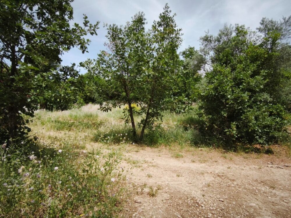 vente Terrain - 1017 m² Belgentier (83210)