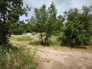  Terrain à vendre 1017 m²