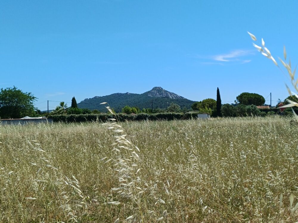 vente Terrain - 700 m² La Crau (83260)