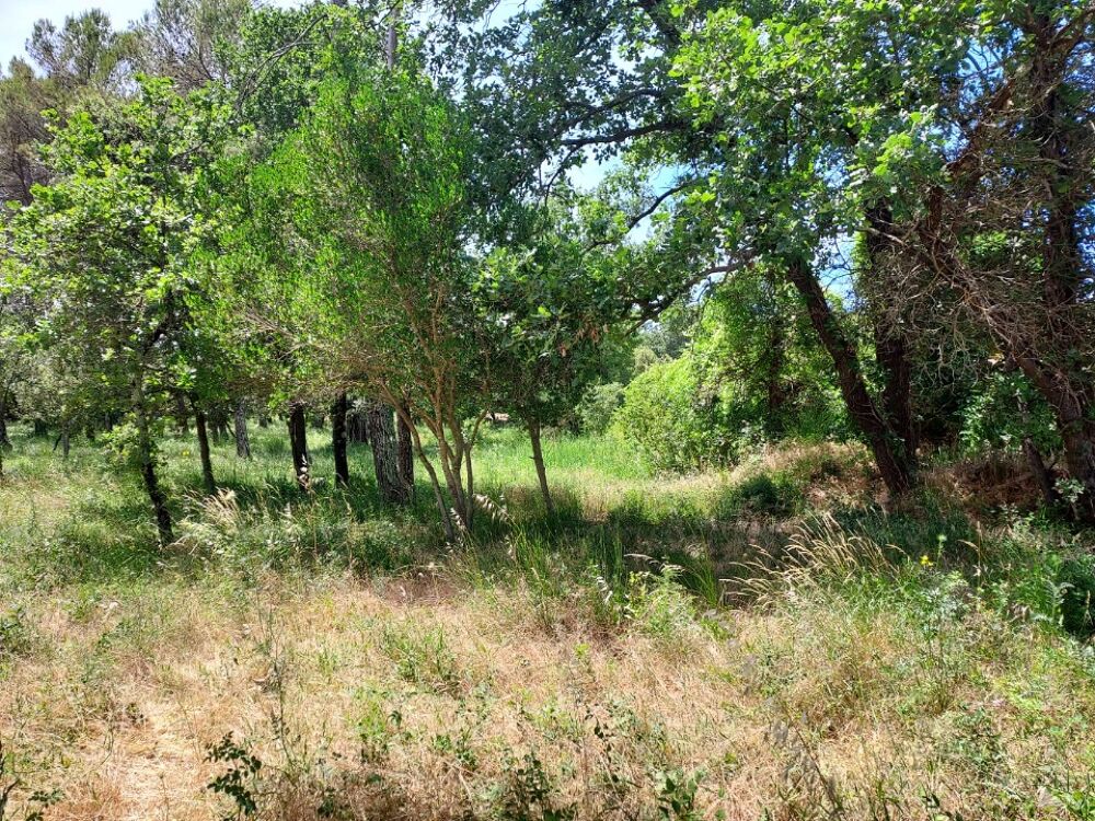 vente Terrain - 655 m² Garéoult (83136)