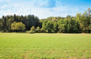  Terrain 751 m² Mandres-les-roses