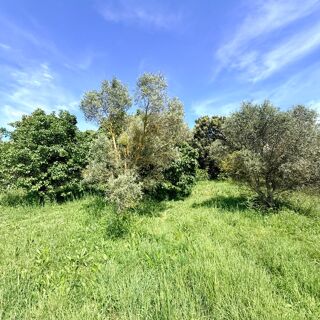  Terrain � vendre 1000 m�