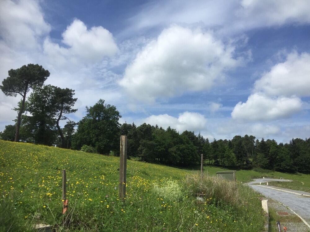 vente Terrain - 876 m² Pont-de-Larn (81660)