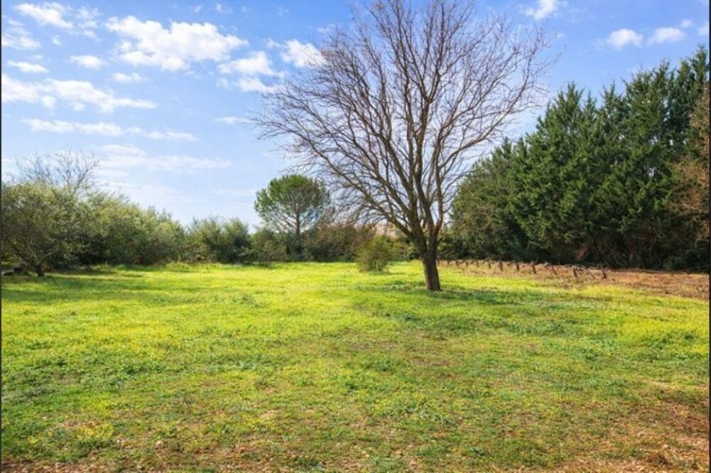 vente Terrain - 1314 m² Tavernes (83670)