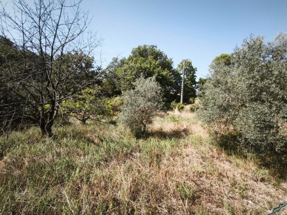 vente Terrain - 651 m² Brignoles (83170)