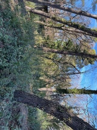  Terrain � vendre 614 m�