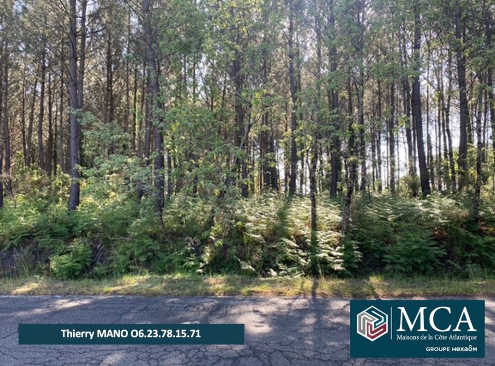 vente Terrain - 485 m² Sanguinet (40460)