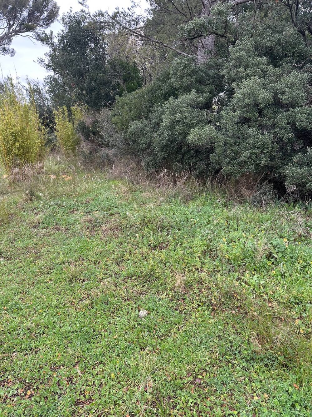 vente Terrain - 547 m² Lambesc (13410)