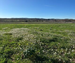  Terrain � vendre 393 m�