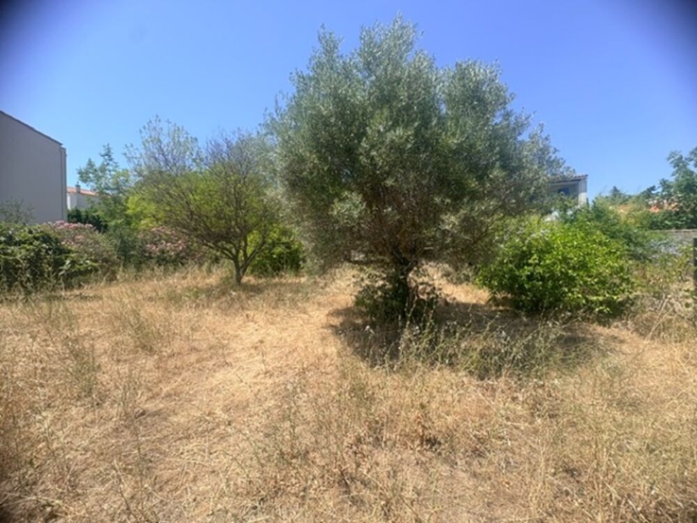 vente Terrain - 341 m² La Ciotat (13600)