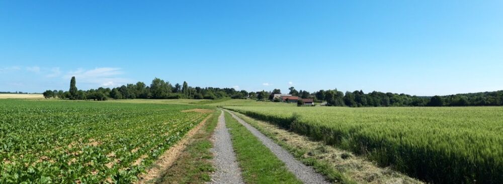 vente Maison - 4 pièce(s) - 104 m² Saint-Rémy-lès-Chevreuse (78470)