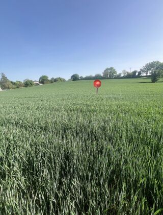  Maison 4 pi�ces 100 m� Castelnau-montratier