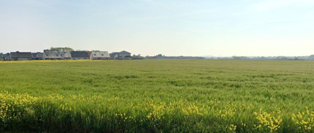 vente Terrain - 431 m² Annay (62880)