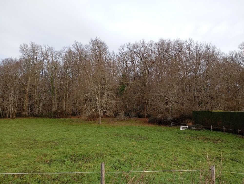 vente Terrain - 769 m² Bouliac (33270)