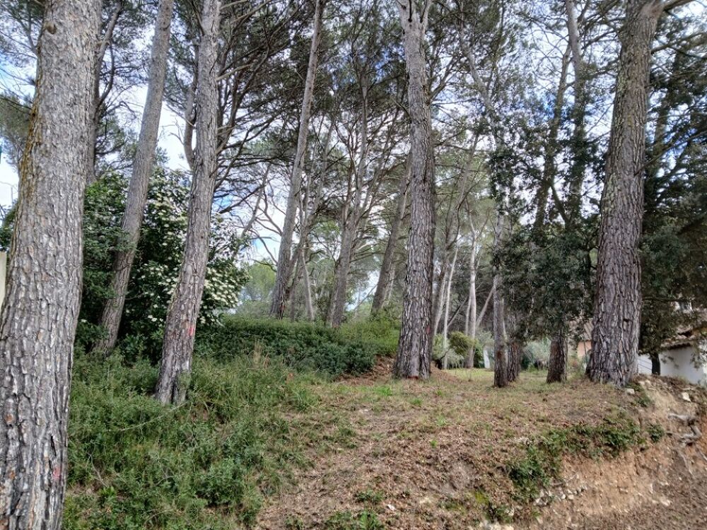 vente Terrain - 3400 m² Ventabren (13122)