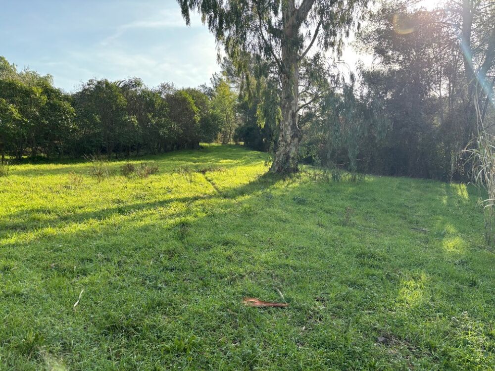 vente Terrain - 1300 m² Fréjus (83600)