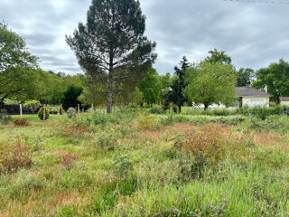  Terrain à vendre 1100 m²