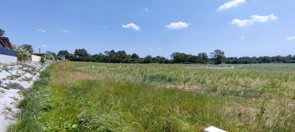 vente Terrain - 513 m² Écouflant (49000)