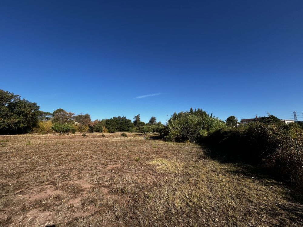 vente Terrain - 1055 m² Puget-sur-Argens (83480)