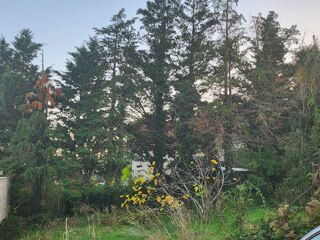  Terrain � vendre 530 m�