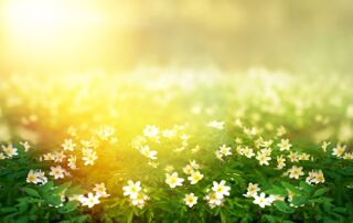  Terrain � vendre 1080 m�