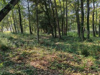  Maison 4 pi�ces 100 m� Trans-en-provence