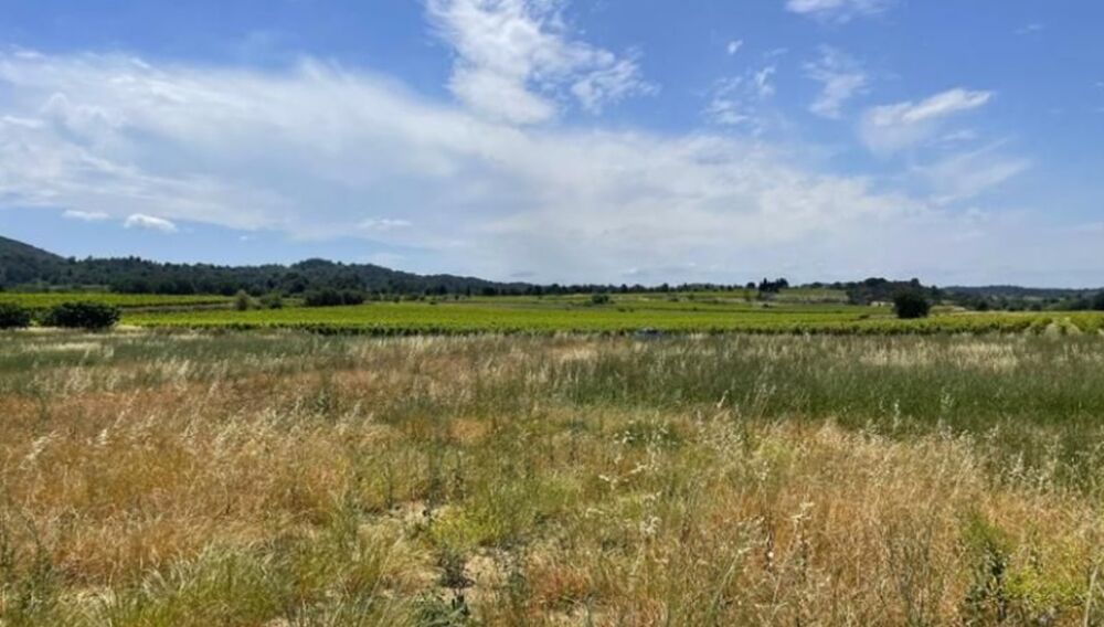 vente Terrain - 1300 m² Floure (11800)