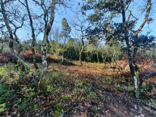  Terrain  vendre 1150 m