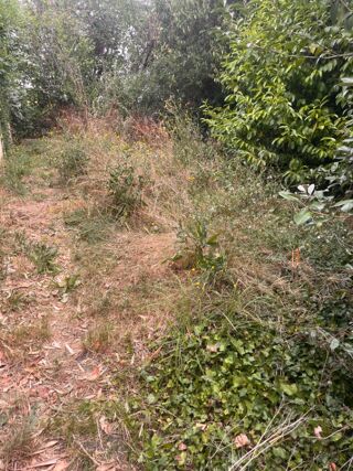  Maison 3 pi�ces 65 m� Loupiac