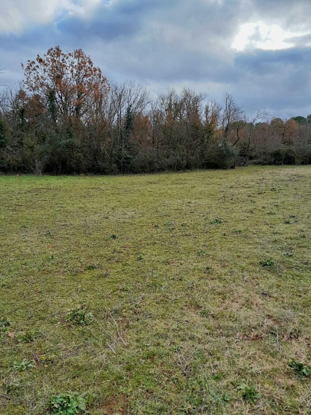 vente Terrain - 3000 m² Saint-Maximin-la-Sainte-Baume (83470)