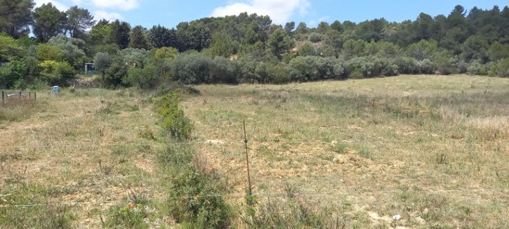 vente Terrain - 355 m� Bize-Minervois (11120)
