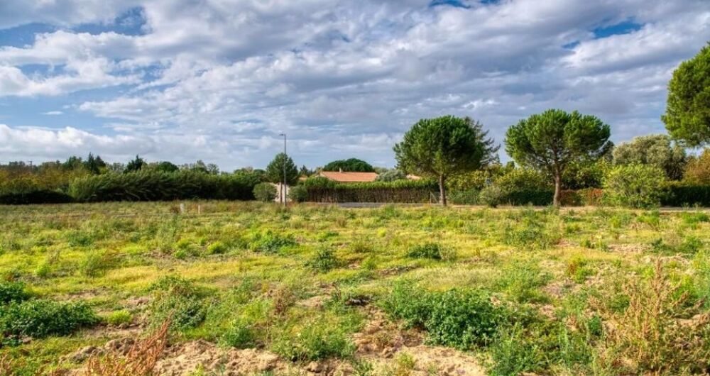 vente Maison - 4 pièce(s) - 112 m² Villesèquelande (11170)