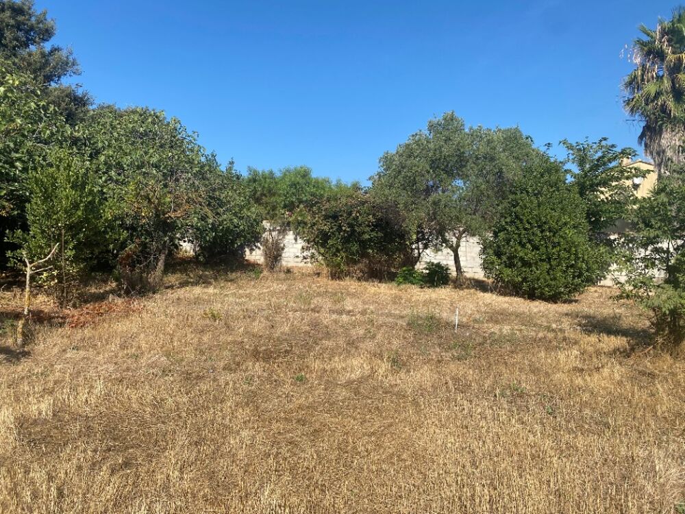 vente Terrain - 380 m² Six-Fours-les-Plages (83140)