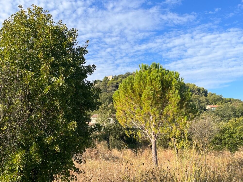 vente Maison - 4 pièce(s) - 80 m² Lambesc (13410)