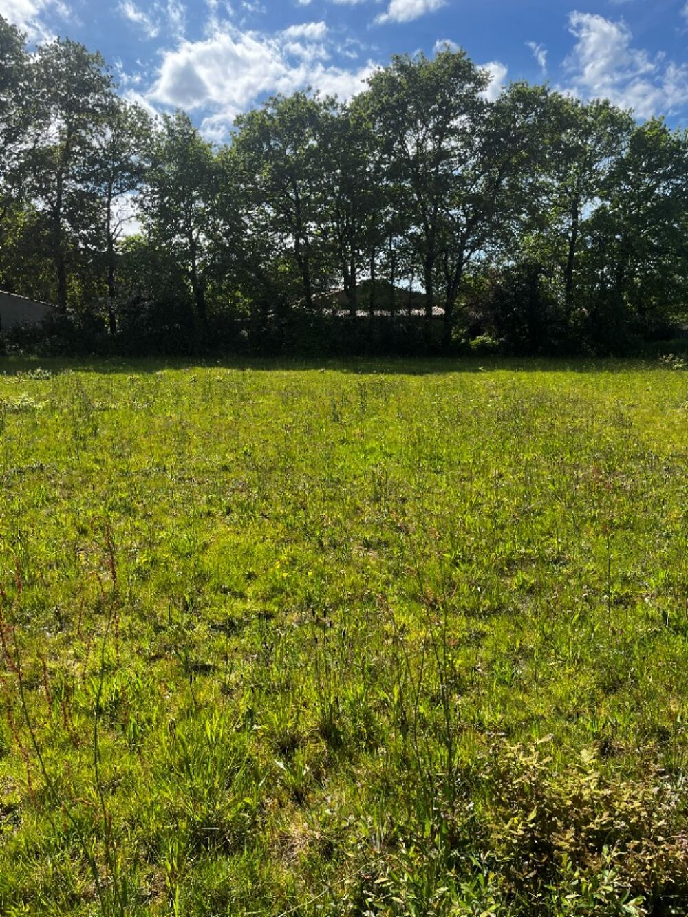 MAISON À CONSTRUIRE DE 130 M² À FROIDFOND AVEC 5 PIÈCES<....