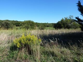  Terrain � vendre 490 m�