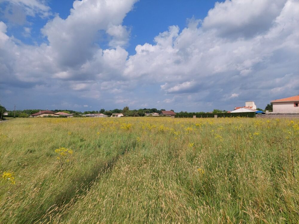 vente Maison - 4 pièce(s) - 112 m² Montauban (82000)