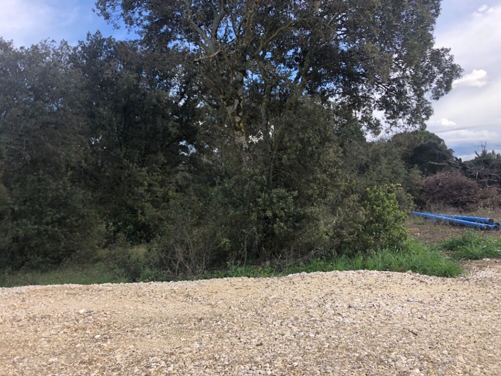 vente Terrain - 1500 m² La Baume-de-Transit (26790)