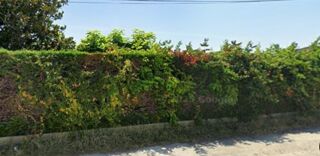  Maison � vendre 4 pi�ces 134 m�