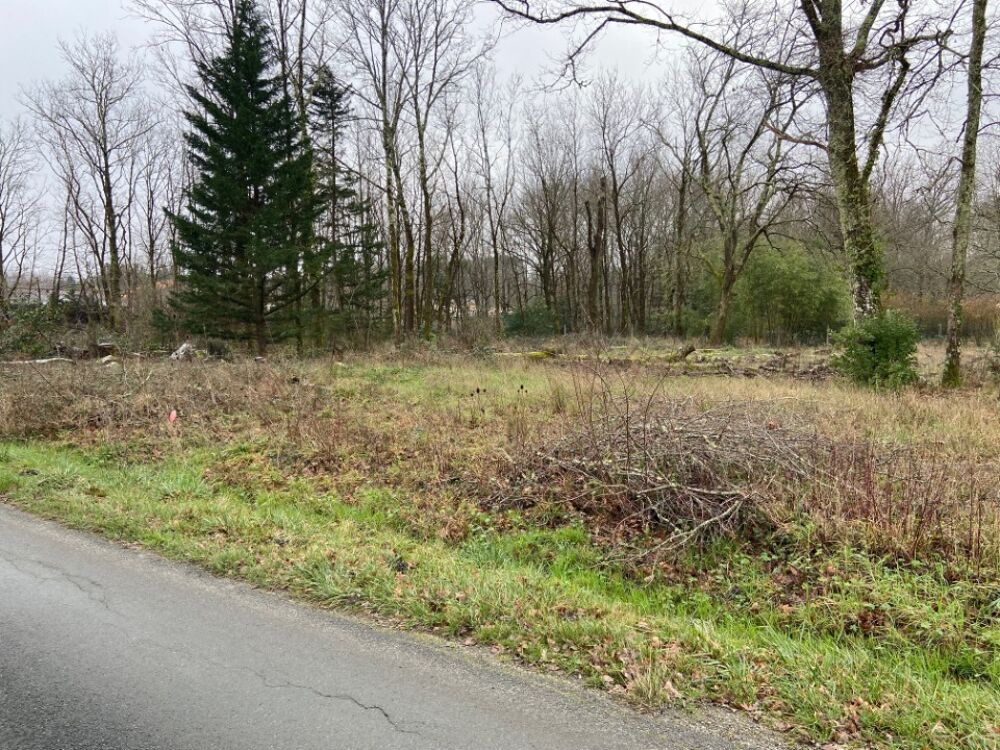 vente Terrain - 1000 m² Saint-Médard-d'Eyrans (33650)